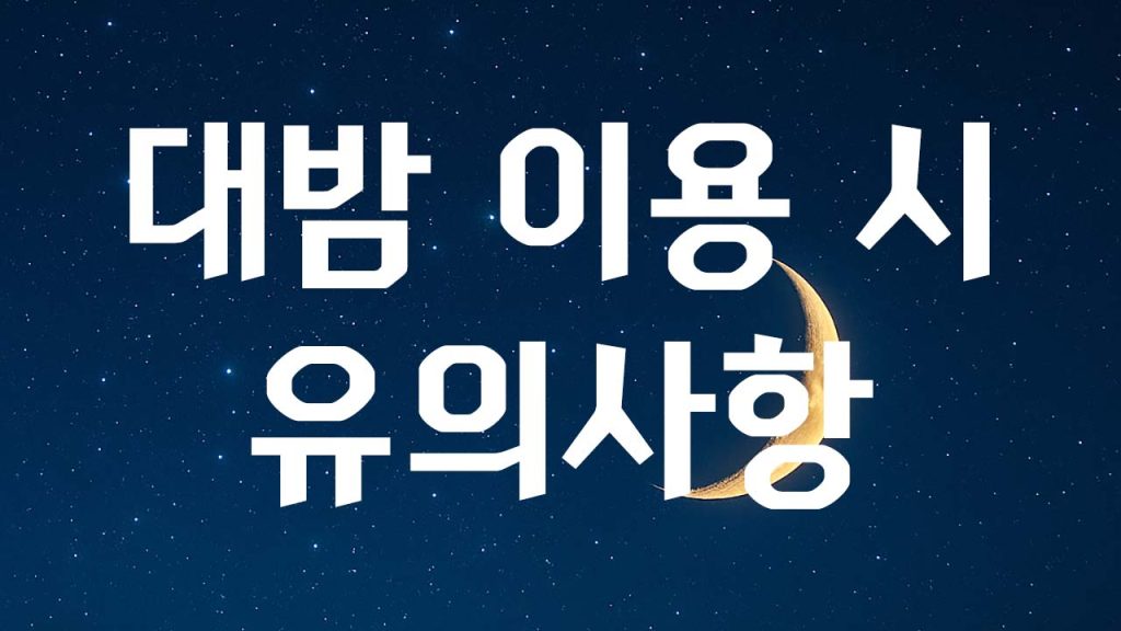 대밤 이용 시 유의사항