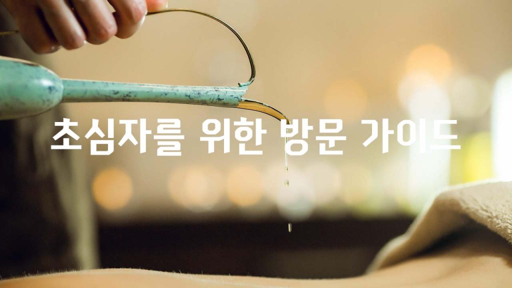 초심자를 위한 방문 가이드